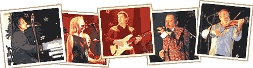 Des Henly's Rock'n'Roll Circus - The musicians